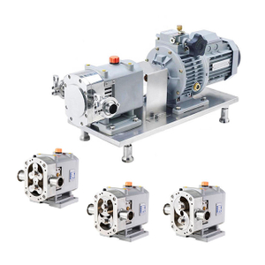Stainless Steel Rotor Lobe Pump Head Supplier