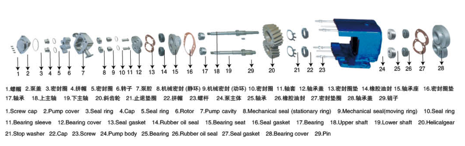 Exploded view of lobe pump