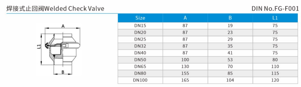 Welded Check Valve DIN Standard