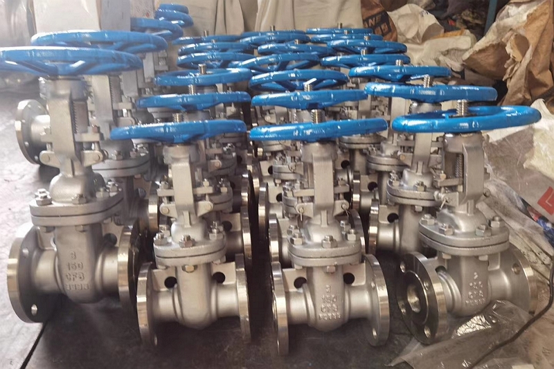 Sanitary Gate Valve