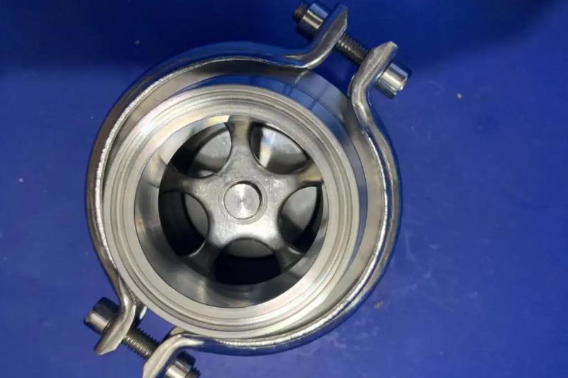 Application Of Sanitary Check Valve In Water Treatment And Purification