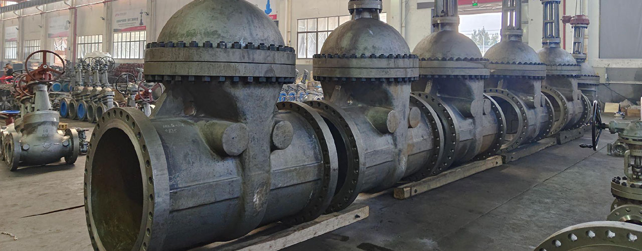 DN800-Turbine