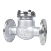 Stainless Steel Swing Check Valve