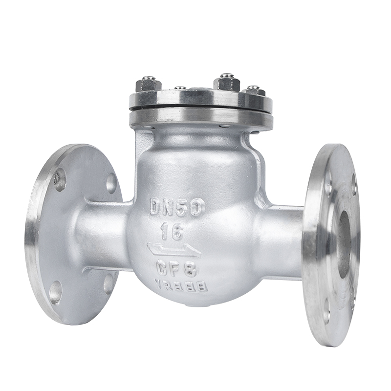 Stainless Steel Swing Check Valve