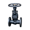 Forged steel flanged globe valve