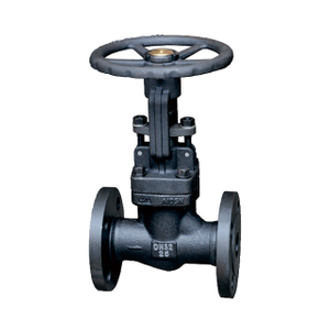 Forged steel flanged globe valve