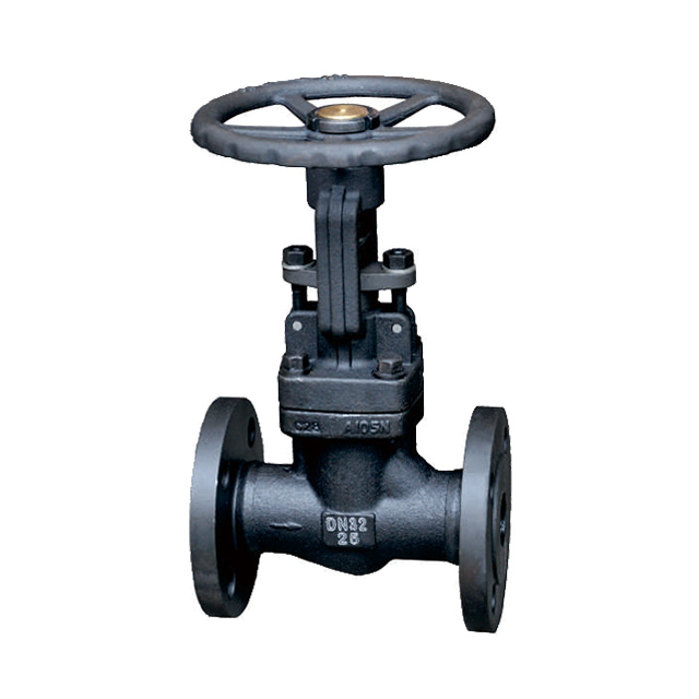 Forged steel flanged globe valve