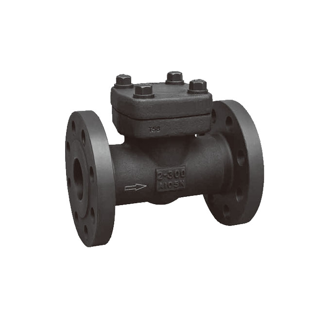 Forged steel flange lift check valve